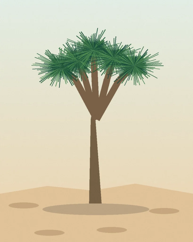 Dracaena draco