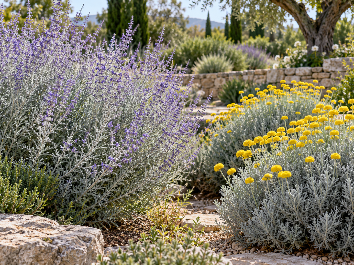 Silver flowering plants