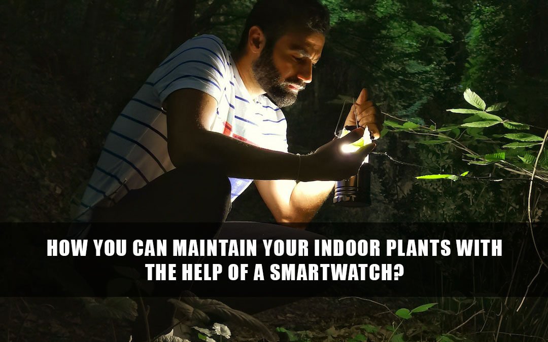 How you can Maintain your Indoor Plants with the Help of a Smartwatch?