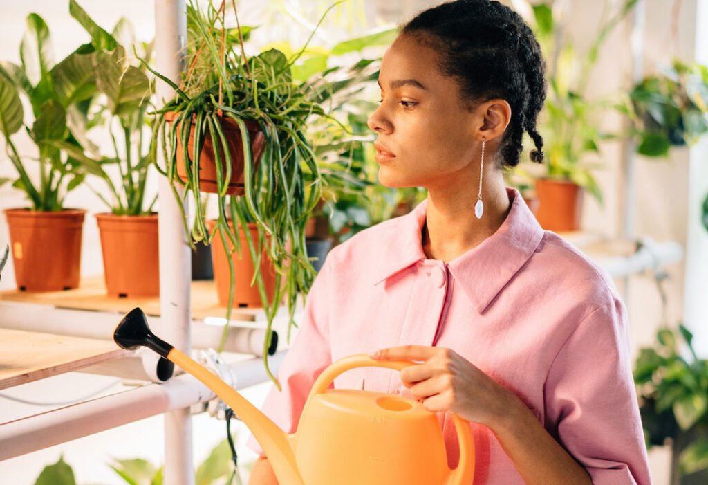 A Guide To Grow Caudex Plant: Types and Care