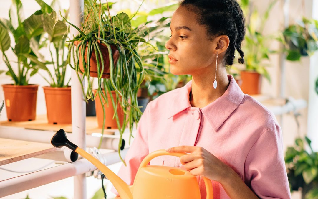 A Guide To Grow Caudex Plant: Types and Care