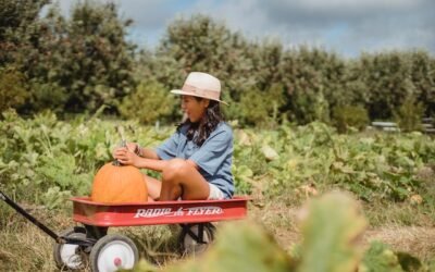 The Best Squash Plants to Grow in your Garden – Complete Guide