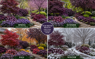 Year-Round Beauty: Landscape Purple Leaf Plants for Every Season