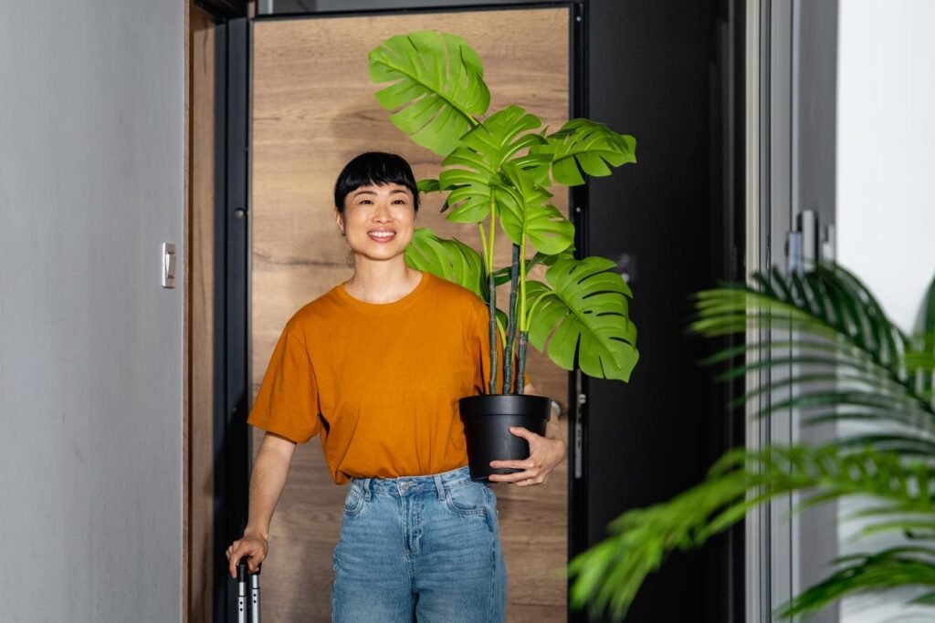 how to bring outdoor plants inside