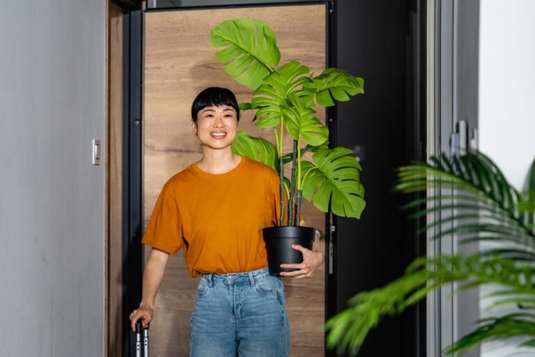 how to bring outdoor plants inside